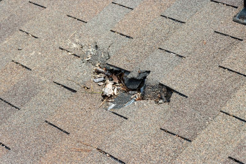 Asphalt Roof Replacement in Callahan, FL