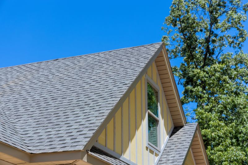 Asphalt Shingles Installation in Camden County, GA