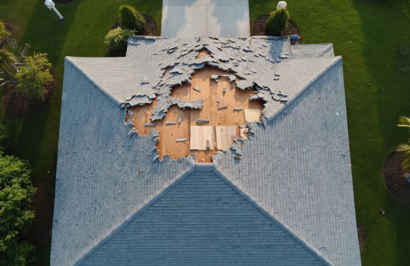 Damaged Roof Replacement in Woodbine, GA